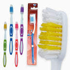 Cepillo dental adulto HC-011 protector x 12