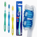 Cepillo dental adulto HC-014 protector x 12