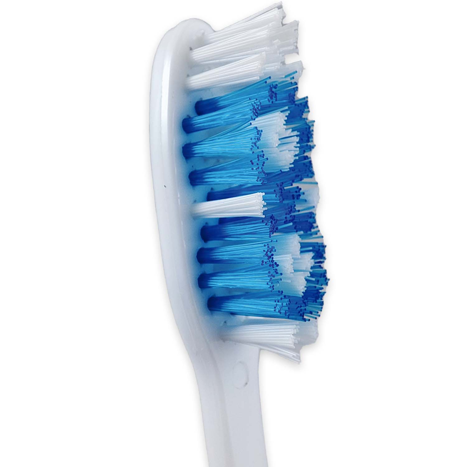 Cepillo dental adulto HC-014 protector x 12