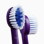 Cepillo dental niño dibujos x 12